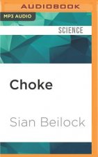 Choke: What the Secrets of the Brain Reveal about Getting It Right When You Have to