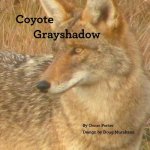 Coyote Grayshadow