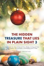 Hidden Treasure That Lies in Plain Sight 3