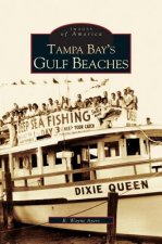 Tampa Bay's Gulf Beaches