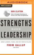 Strengths Based Leadership