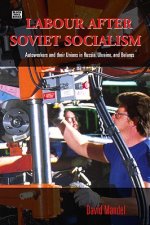 Labour After Soviet Socialism: Autoworkers and Their Unions in Russia, Ukraine, and Belarus