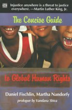 Concise Guide To Global Human Rights