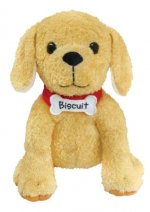 Biscuit Doll: 10