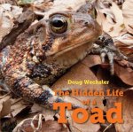 Hidden Life of a Toad