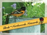 Birds of the Northwoods Notecards