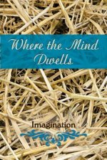 Where the Mind Dwells: Imagination