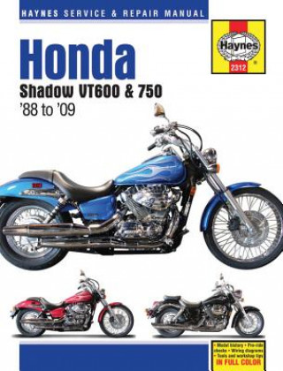Honda Shadow VT600 & 750 (88 -14)
