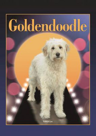 Goldendoodle (Designer Dog Series)