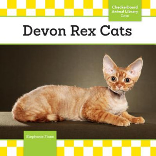 Devon Rex Cats