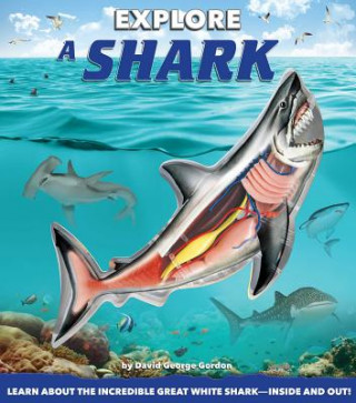 Gordon, D: Explore a Shark