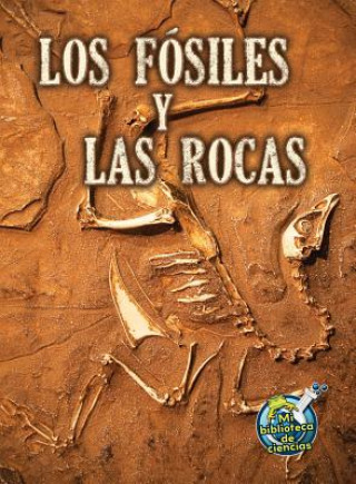 Los Fosiles y Las Rocas (Fossils and Rocks)