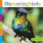 Hummingbirds