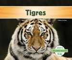Tigres
