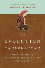 Evolution Underground