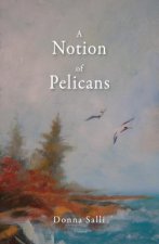 Notion of Pelicans