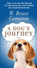 DOGS JOURNEY