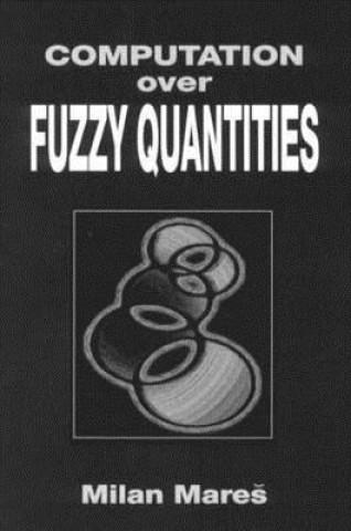 Computation Over Fuzzy Quantities