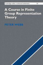 Course in Finite Group Representation Theory