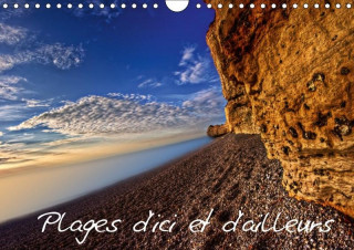 Plages d'Ici et d'Ailleurs (Calendrier mural 2017 DIN A4 horizontal)