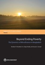 Beyond ending poverty