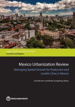 Mexico urbanization review