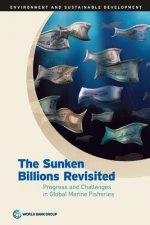 sunken billions revisited