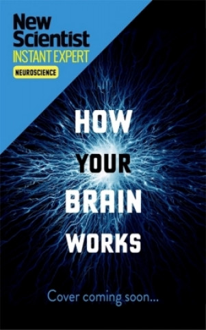 How Your Brain Works