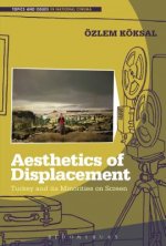 Aesthetics of Displacement
