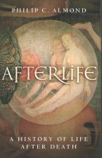 Afterlife: A History of Life After Death