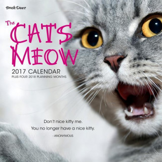 Cat's Meow 2017 Mini Wall Calendar