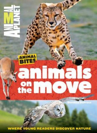 Animal Planet Animals on the Move