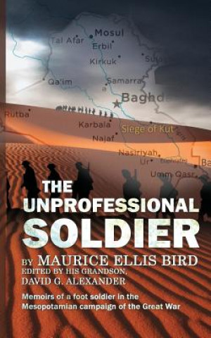 Unprofessional Soldier