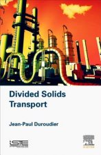 Divided Solids Transport