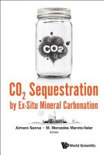 Co2 Sequestration By Ex-situ Mineral Carbonation