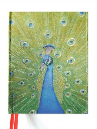 Peacock in Blue and Green (Blank Sketch Book)