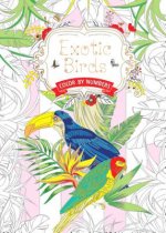 Exotic Birds: Color by Numbers