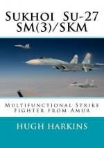 Sukhoi Su-27sm(3)/Skm: Multifunctional Strike Fighter from Amur