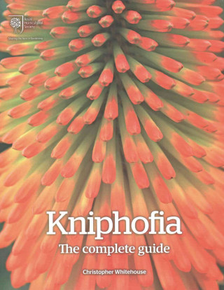 Kniphofia