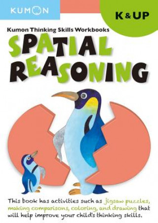 Thinking Skills Spatial Reasoning K & Up