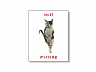 Still Missing