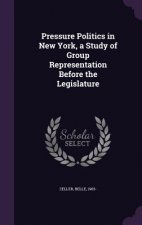 Pressure Politics in New York, a Study of Group Representation Before the Legislature