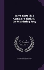 Tarry Thou Till I Come; Or Salathiel, the Wandering Jew;