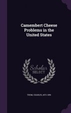 Camembert Cheese Problems in the United States