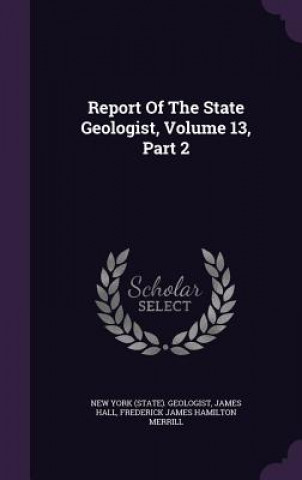 Report of the State Geologist, Volume 13, Part 2