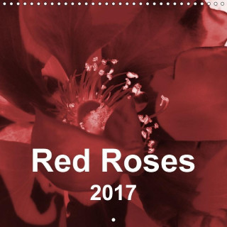 Red Roses (Wall Calendar 2017 300 × 300 mm Square)
