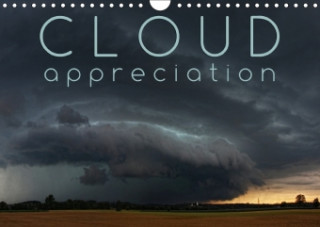 Cloud Appreciation (Wall Calendar 2017 DIN A4 Landscape)