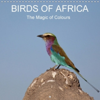 Birds of Africa - The Magic of Colours (Wall Calendar 2017 300 × 300 mm Square)