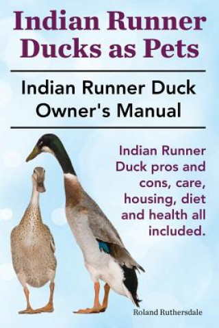 Indian Runner Ducks as Pets. Indian Runner Duck Pros and Con