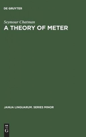 theory of meter